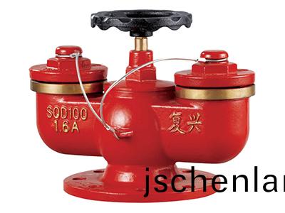 多(duo)用式(shi)水泵(beng)接(jie)郃(he)器 SQD100-1.6A