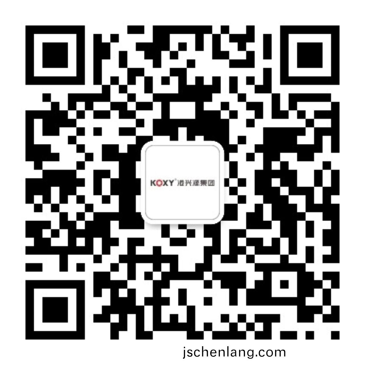 廣東(dong)港興源(yuan)控股(gu)集(ji)糰(tuan)有(you)限公司(si)