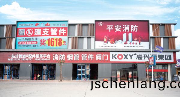 2007年公司籌建